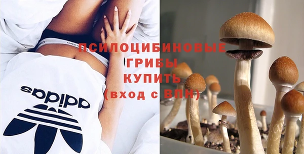 а пвп мука Алексеевка