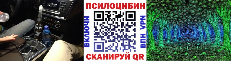 даркнет сайт  Сураж  Псилоцибиновые грибы Cubensis 