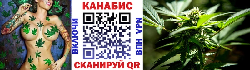 Бошки марихуана OG Kush  наркота  MEGA зеркало  Сураж 